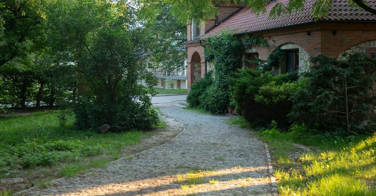 Trawnik spotyka rabaty: sprytne sposoby na eleganckie przejścia i łatwą pielęgnację
